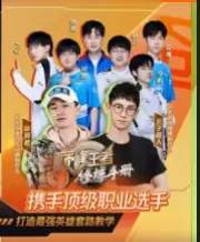 巅峰王者修炼手册